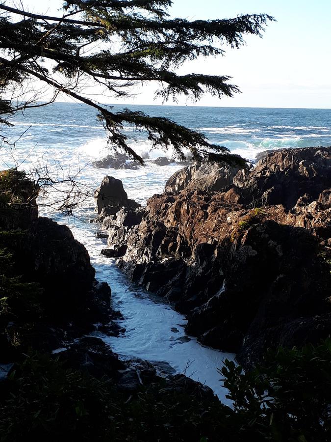 Odyssey Shores Guest Suite Ucluelet Exterior foto