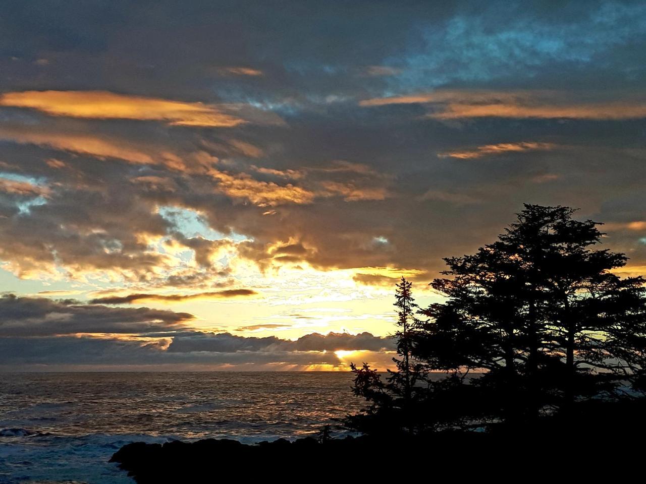 Odyssey Shores Guest Suite Ucluelet Exterior foto